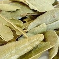 Boldo em Folhas 100g