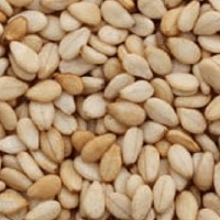 GERGELIM TORRADO COM CASCA 100g